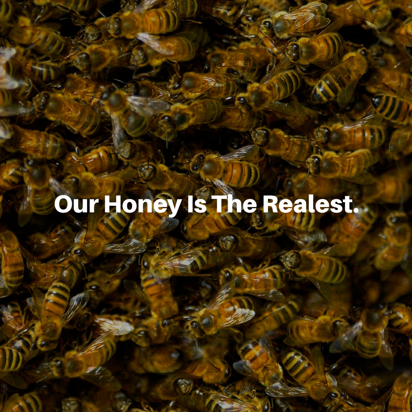 100% Natural Raw Unfiltered Honey