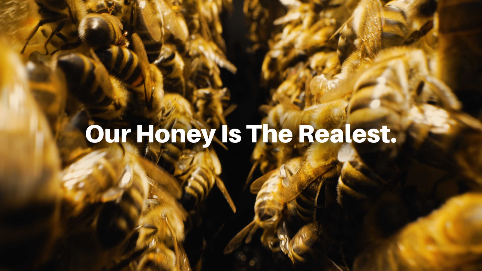 Honey Plus Co | Melipona – HoneyPlusCo